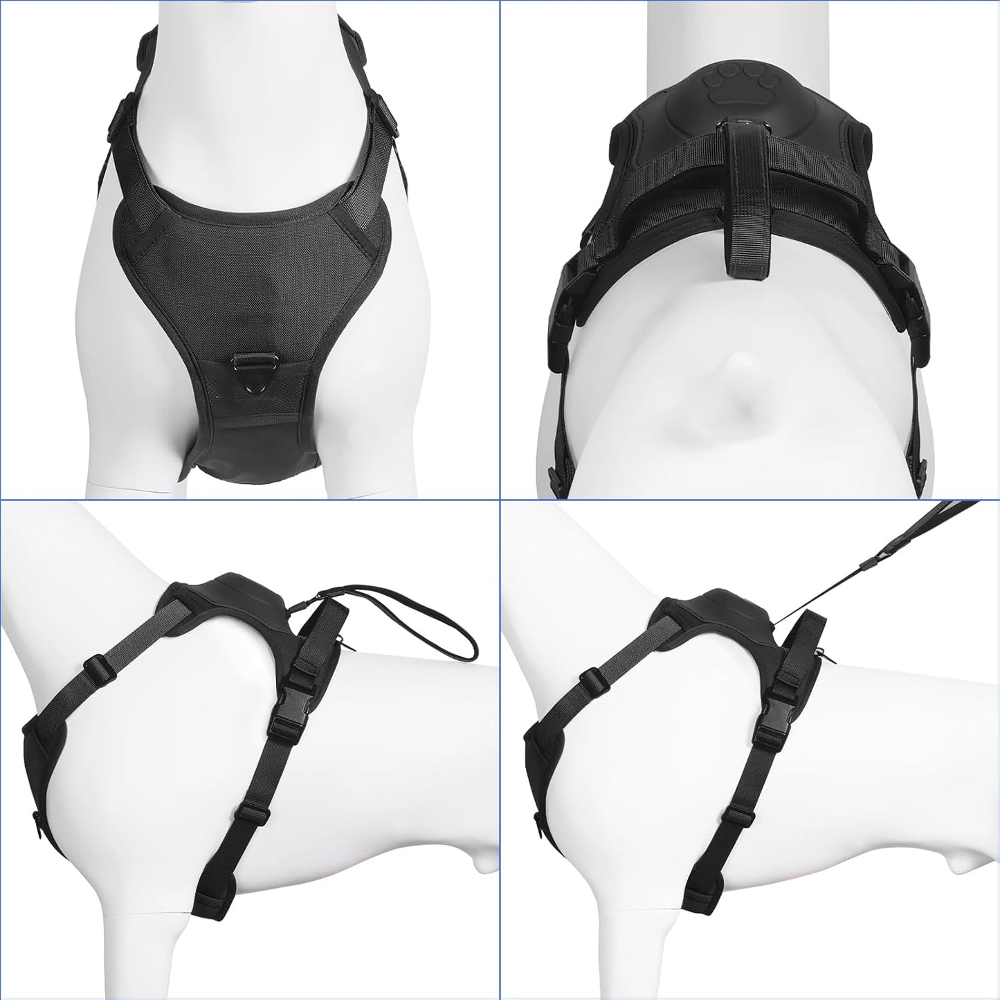 FREEDOG™ – Libertad y control en cada paseo
