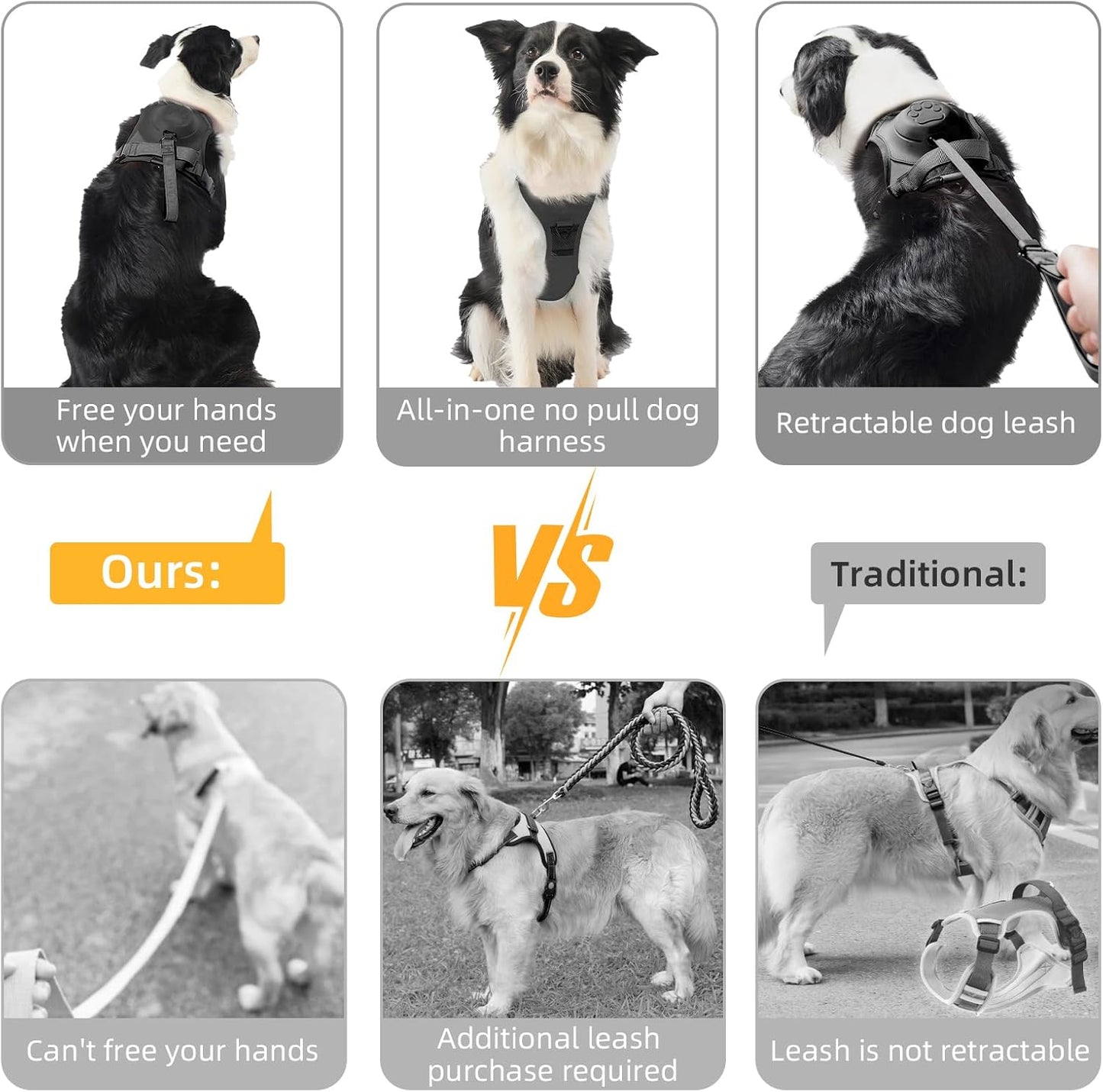 FREEDOG™ – Libertad y control en cada paseo
