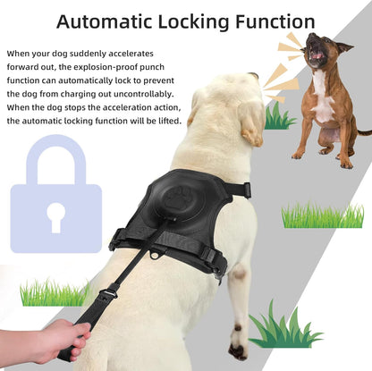 FREEDOG™ – Libertad y control en cada paseo