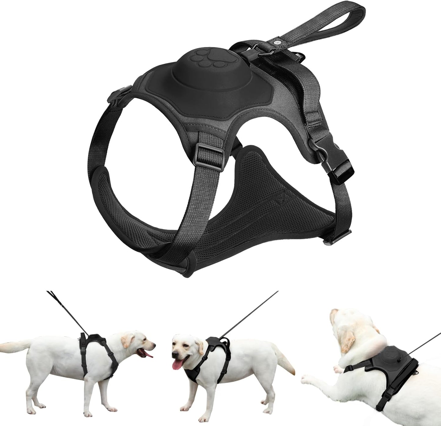 FREEDOG™ – Libertad y control en cada paseo
