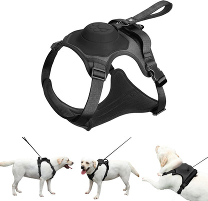 FREEDOG™ – Libertad y control en cada paseo