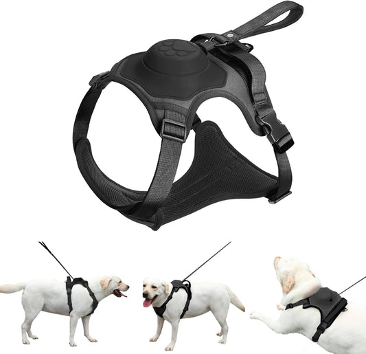 FREEDOG™ – Libertad y control en cada paseo