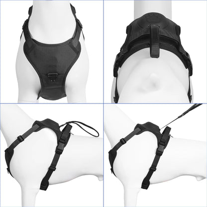 FREEDOG™ – Libertad y control en cada paseo