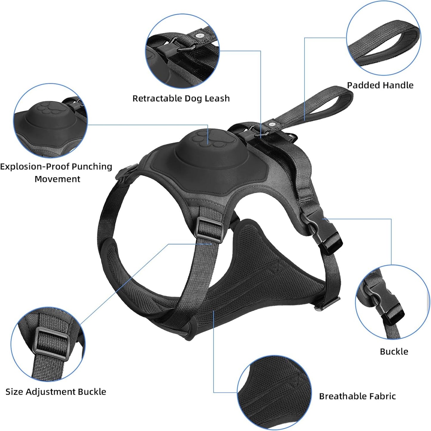 FREEDOG™ – Libertad y control en cada paseo